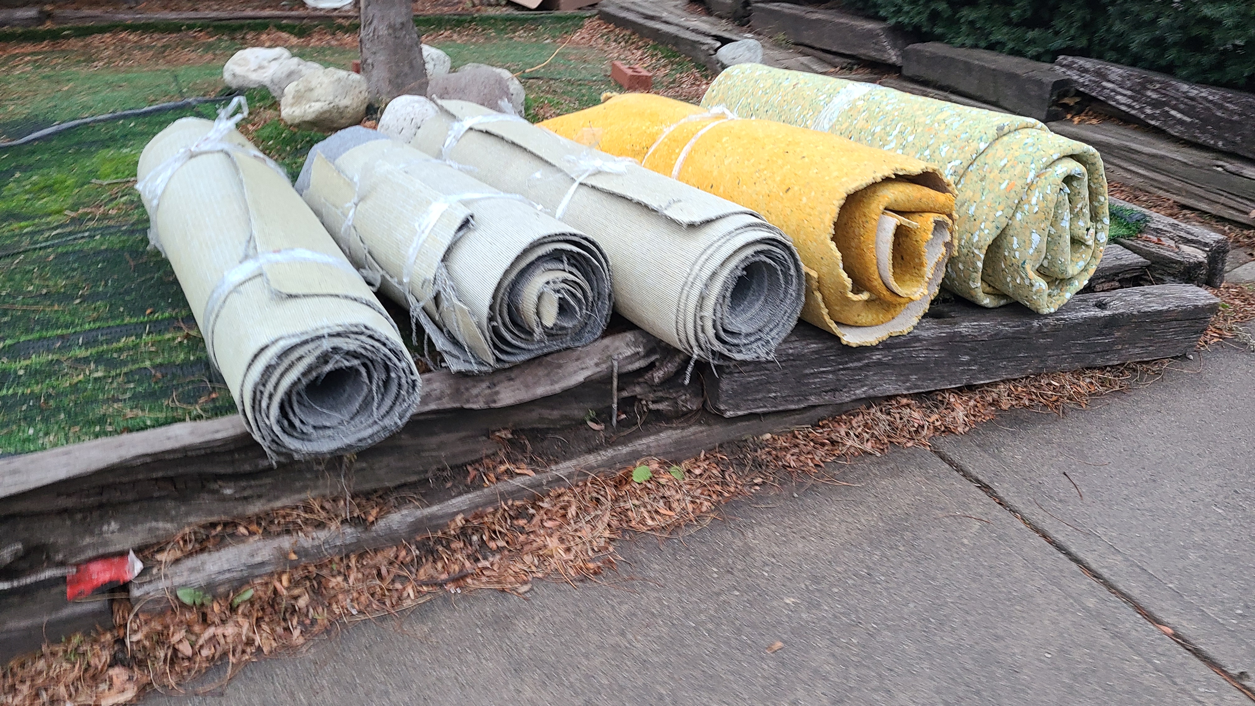 15_SAm_invisible _rolls