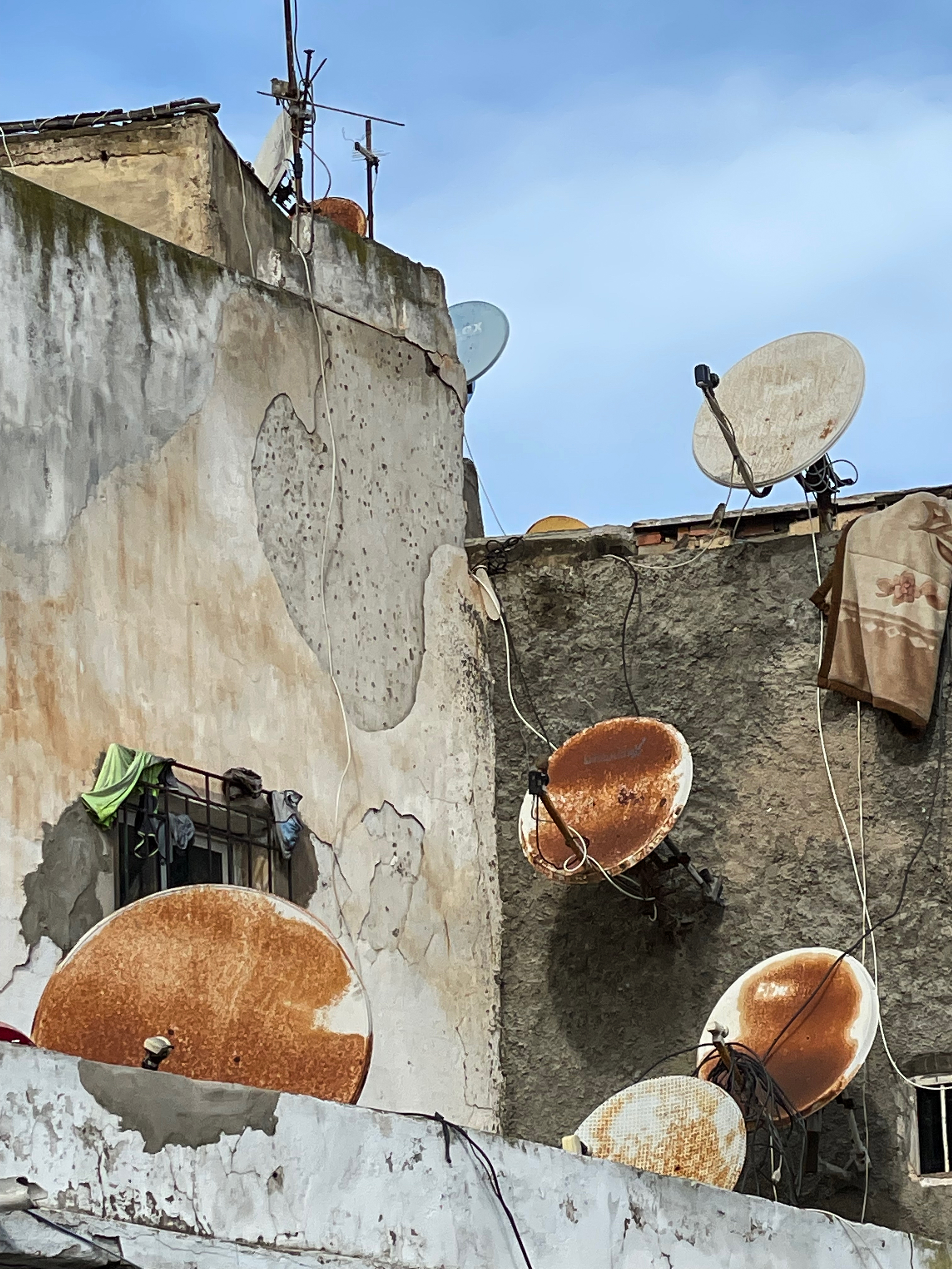 16_Dish_house_partaik_01