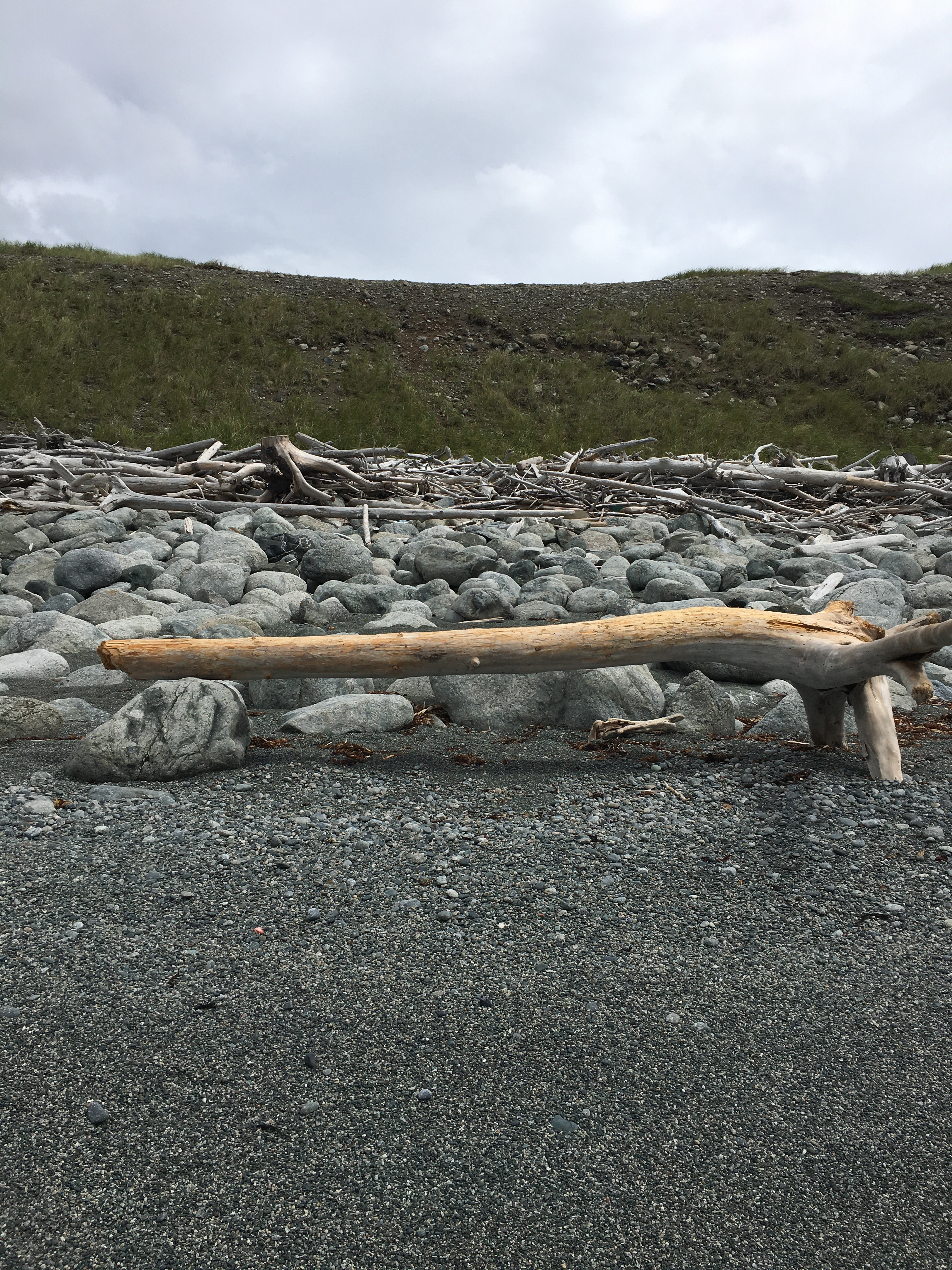 30_DriftwoodLavoie