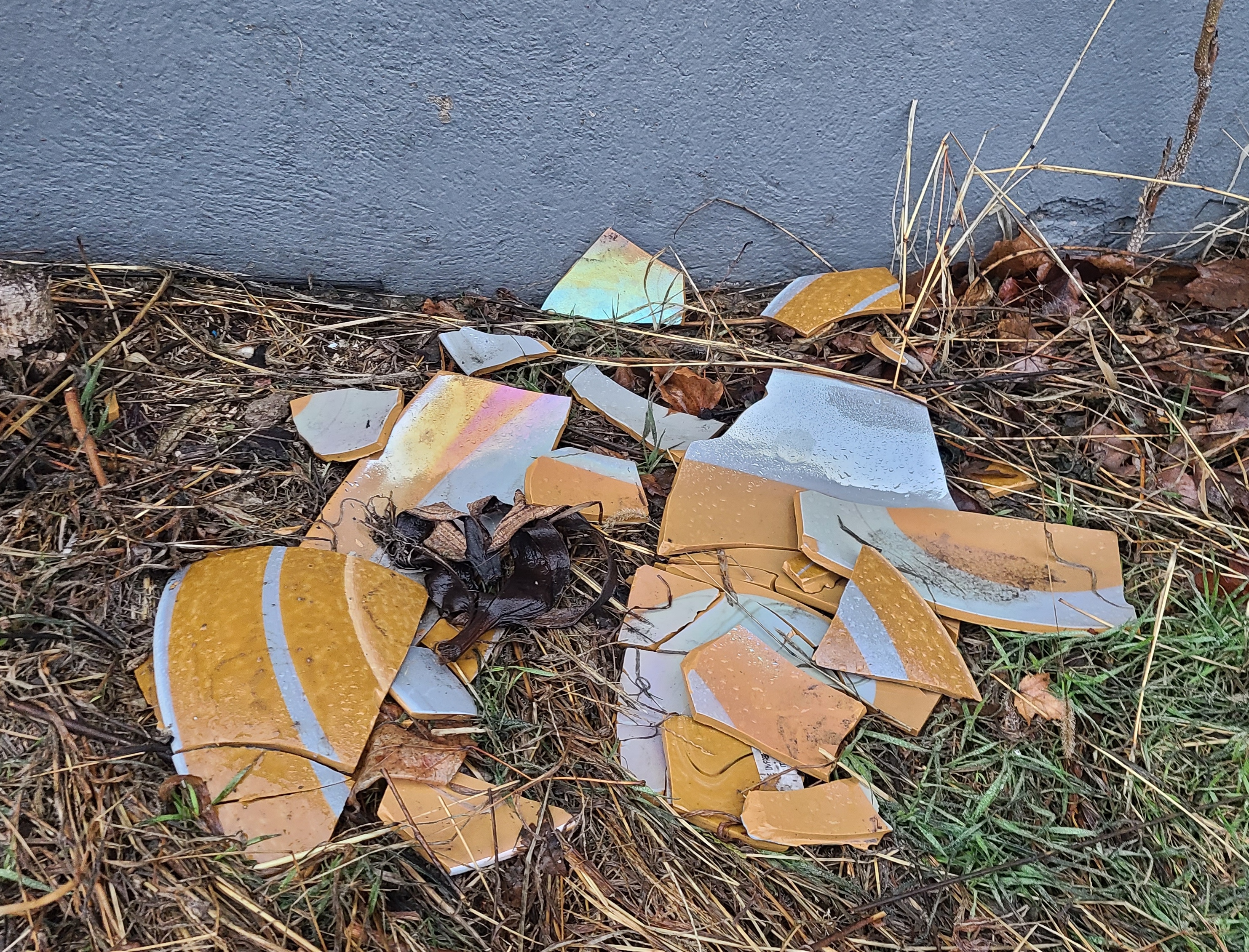 07_Francis Forgette__platesjpg