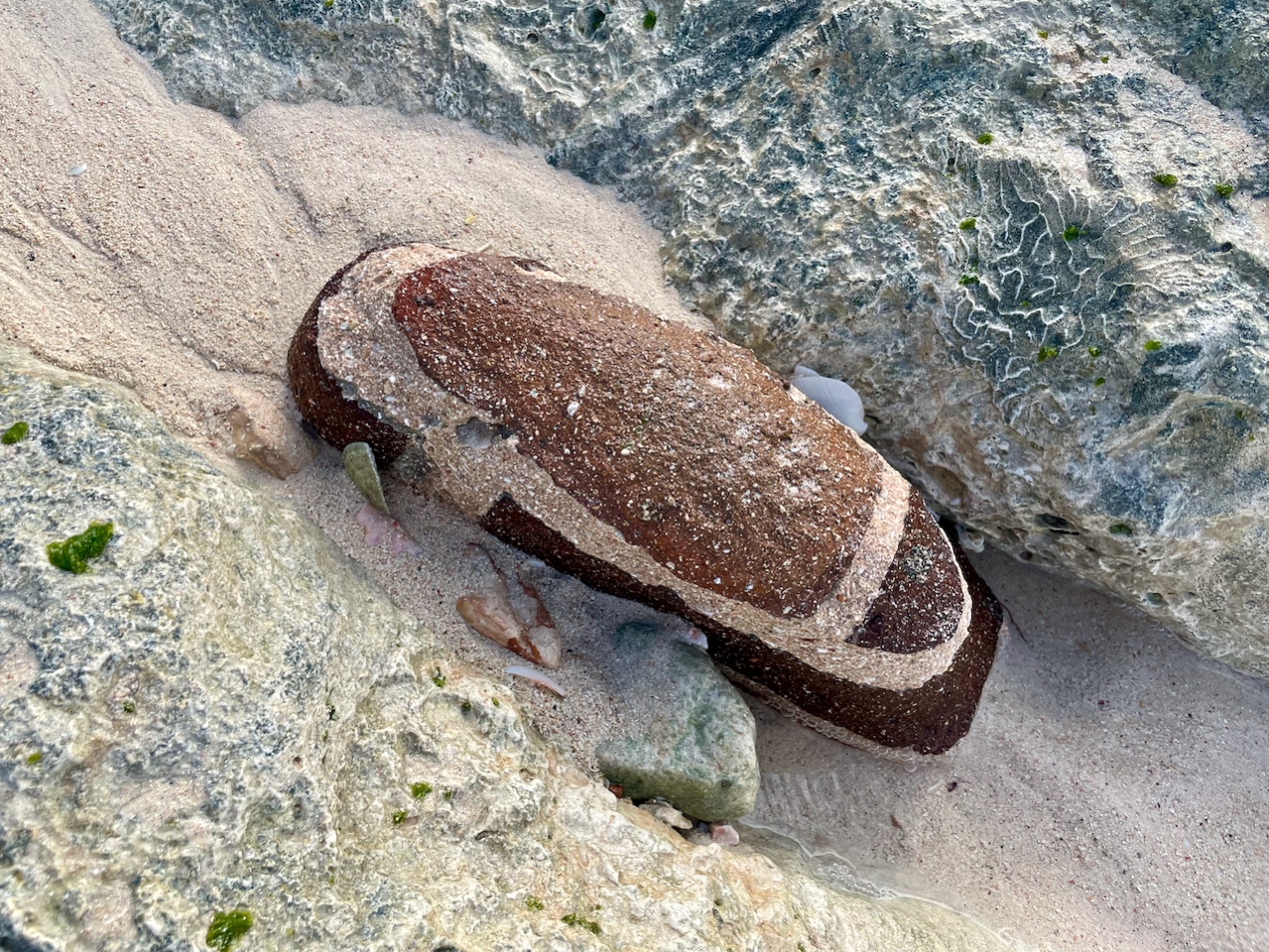 09_brick_erosion_Partaik