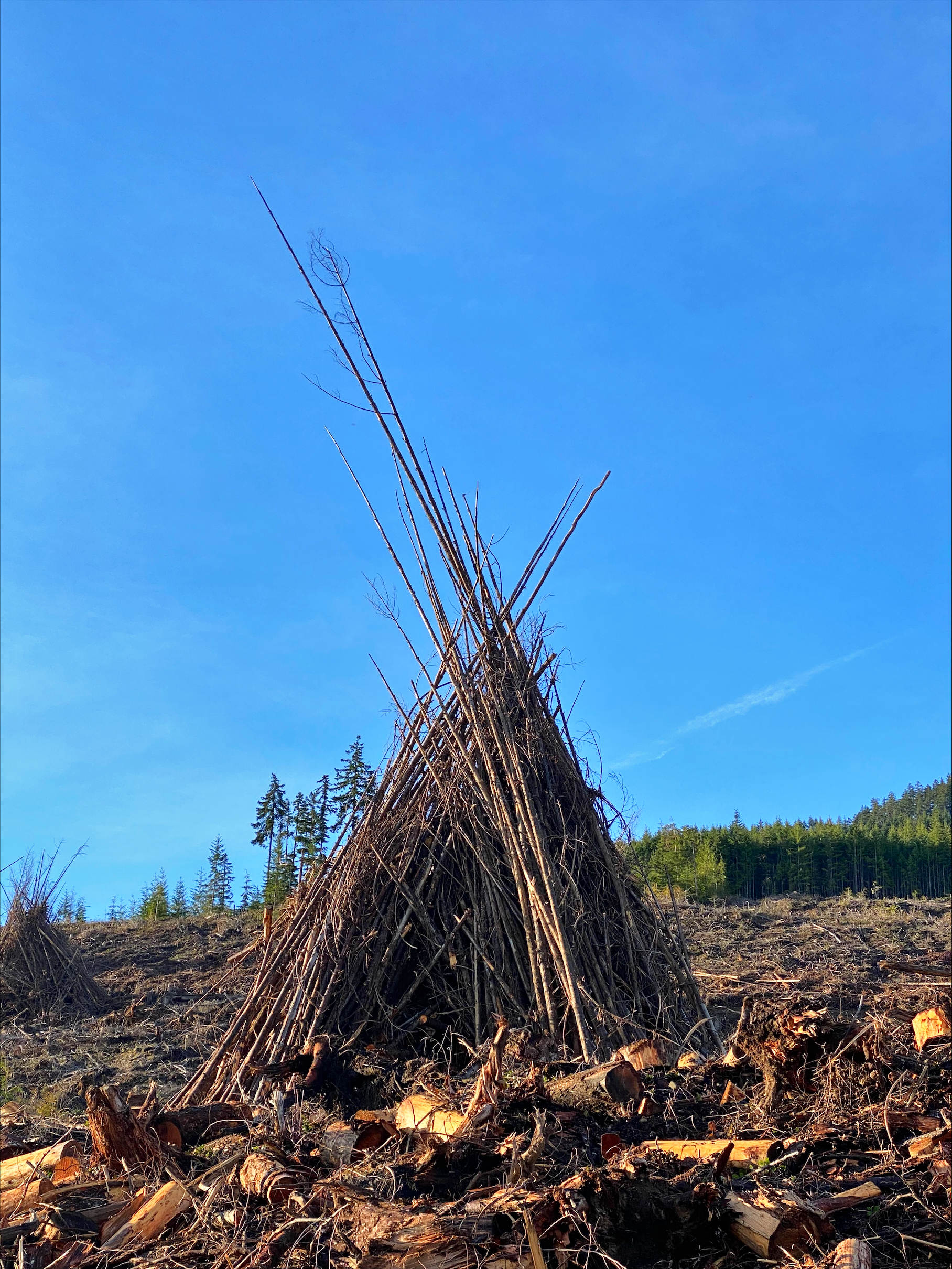 17_Lacey_leforte_structure_02