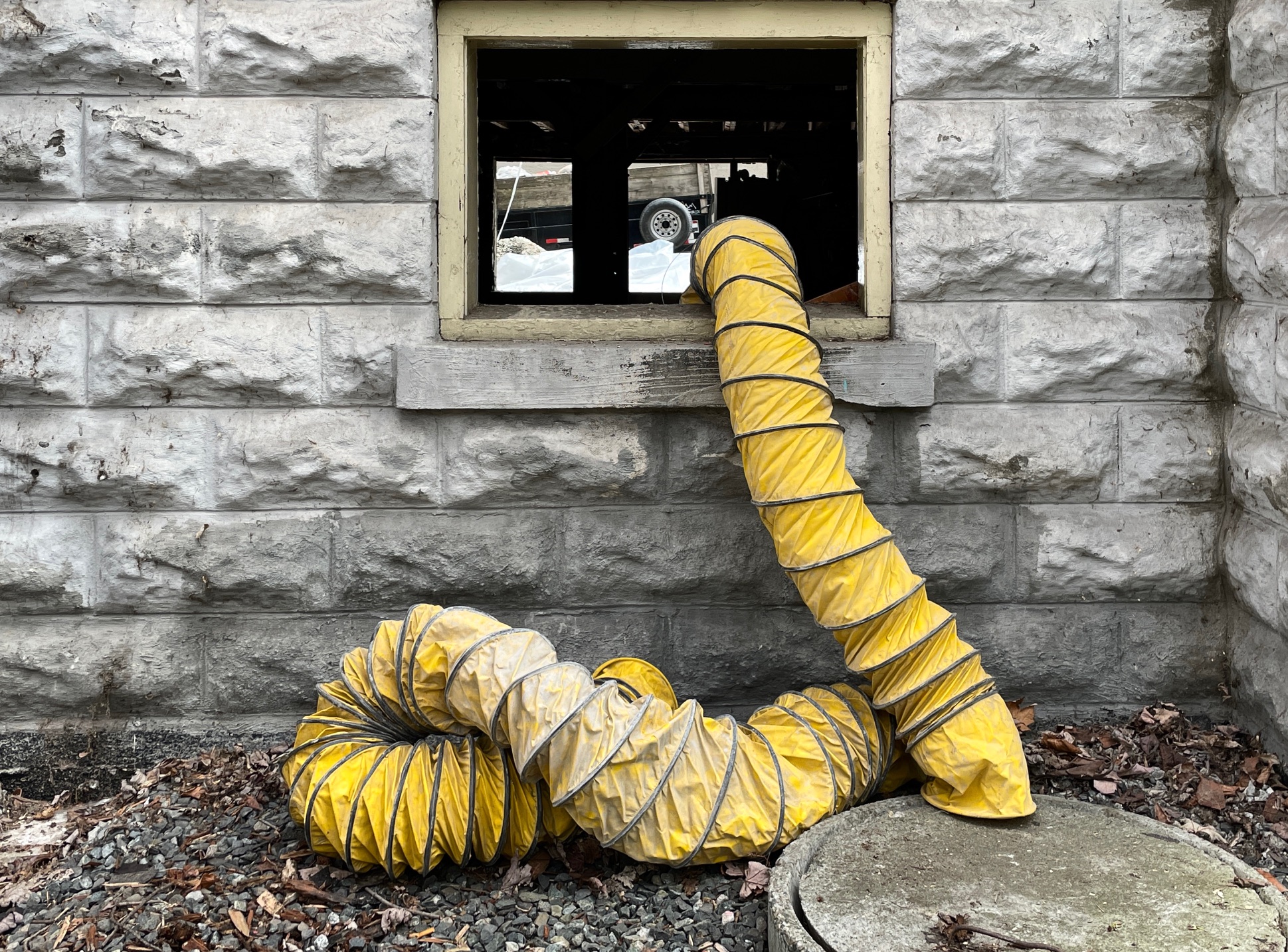 27_judy Jheung yellow