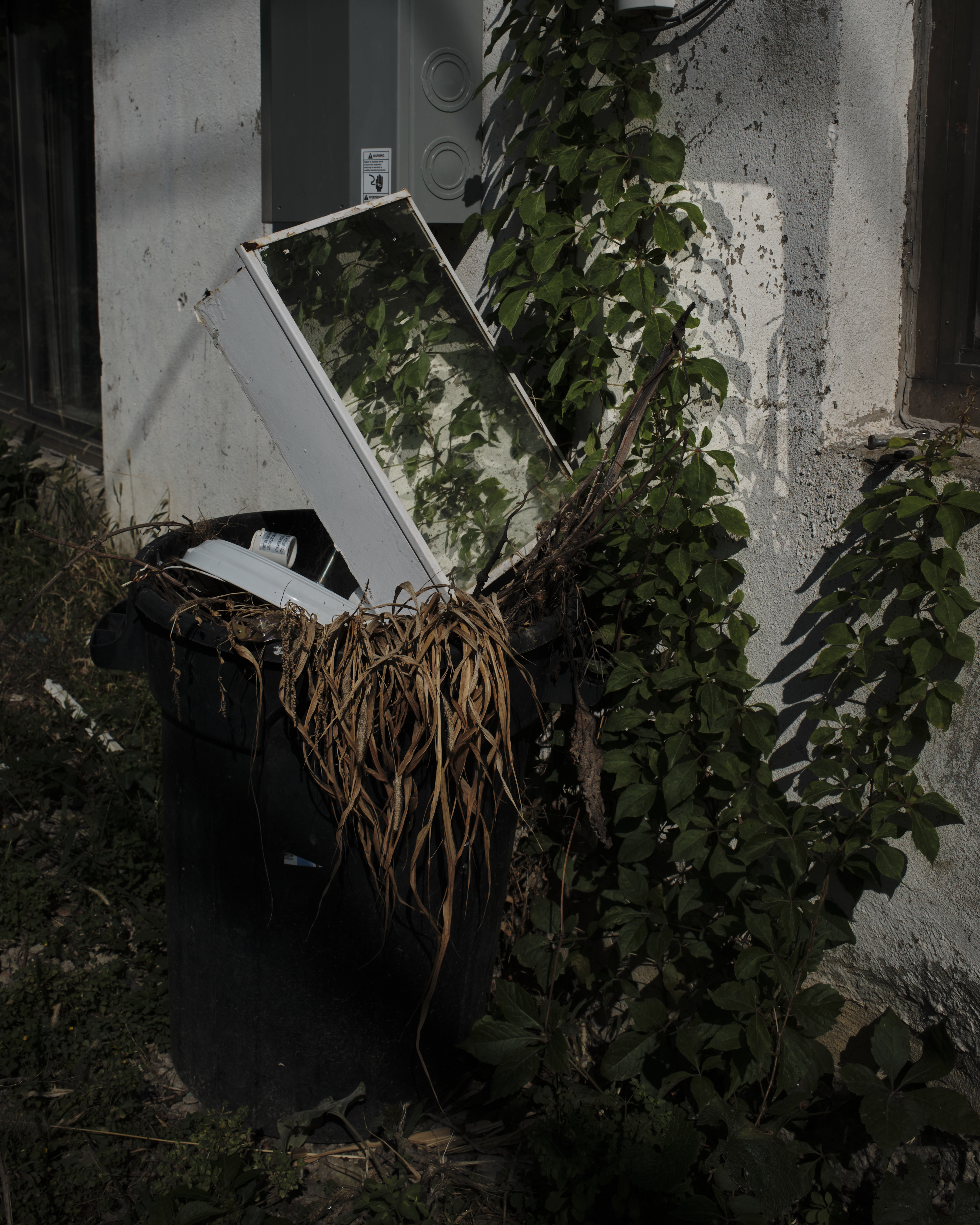 30_inreflectionDeanGarlckOctSAD