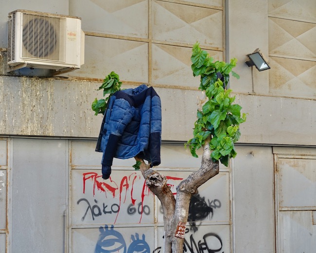 05_xxx coat in tree