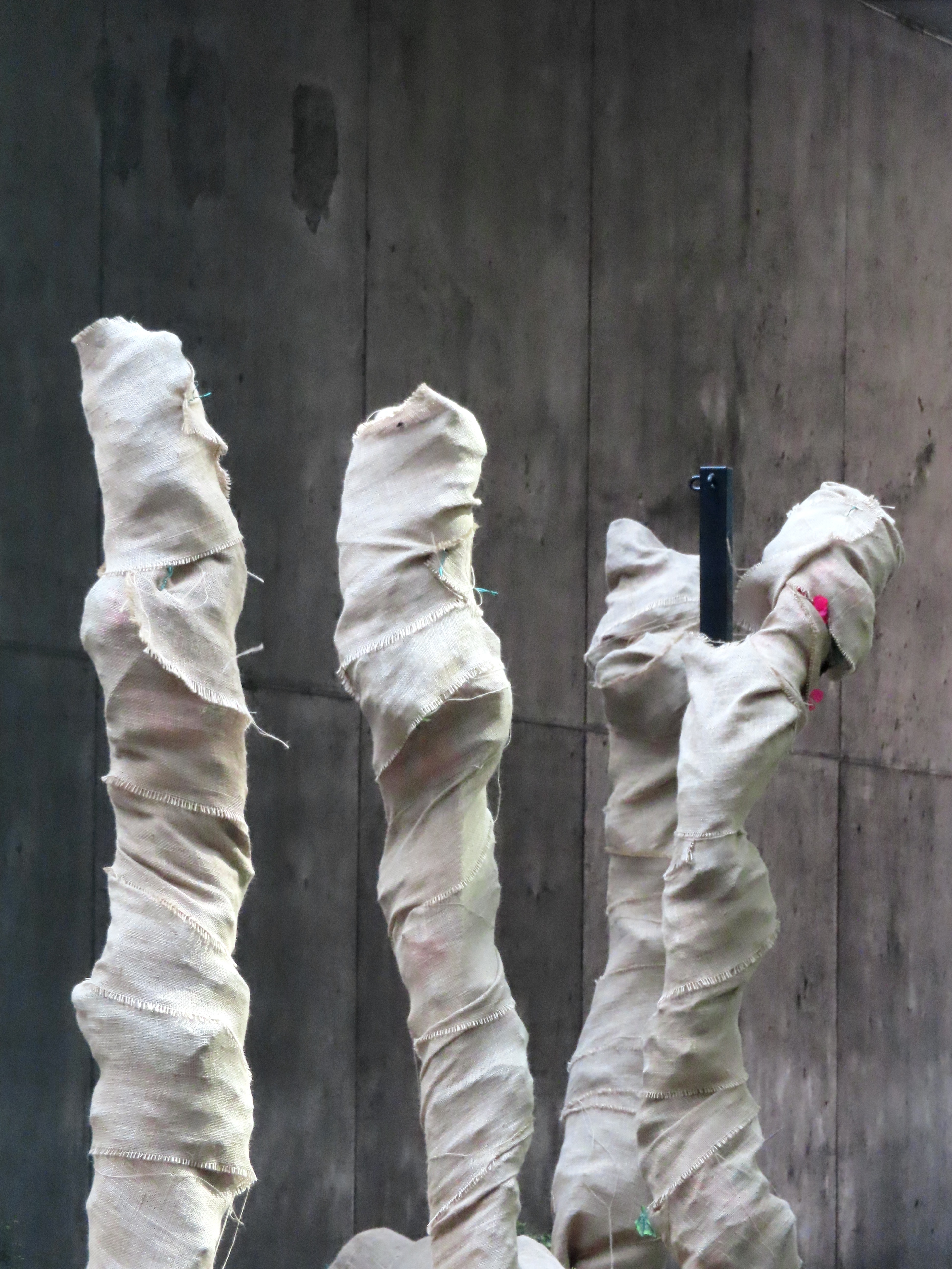 06_Adam_Laude_wrapped