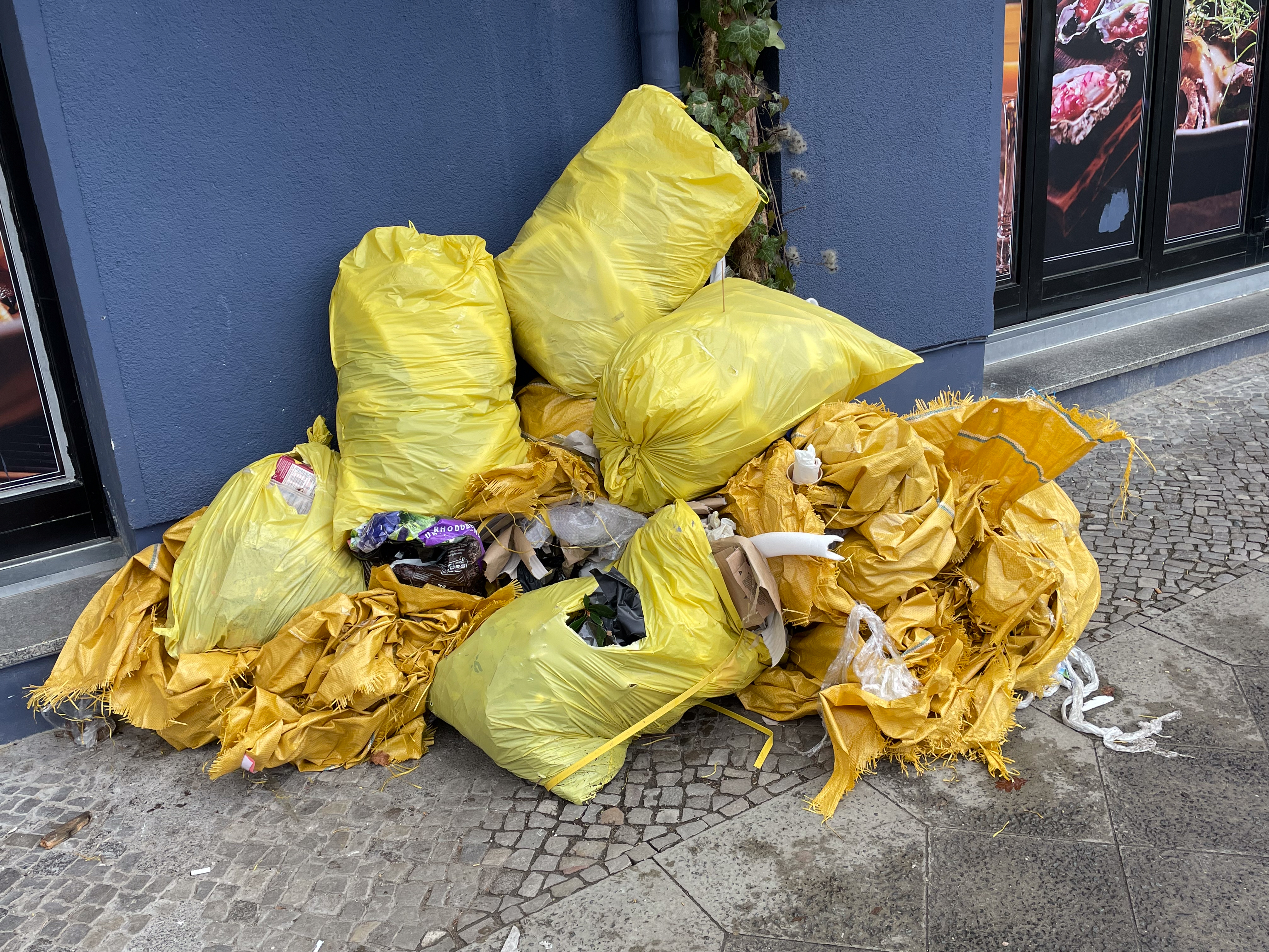 12_Camille_Belmin_yellow