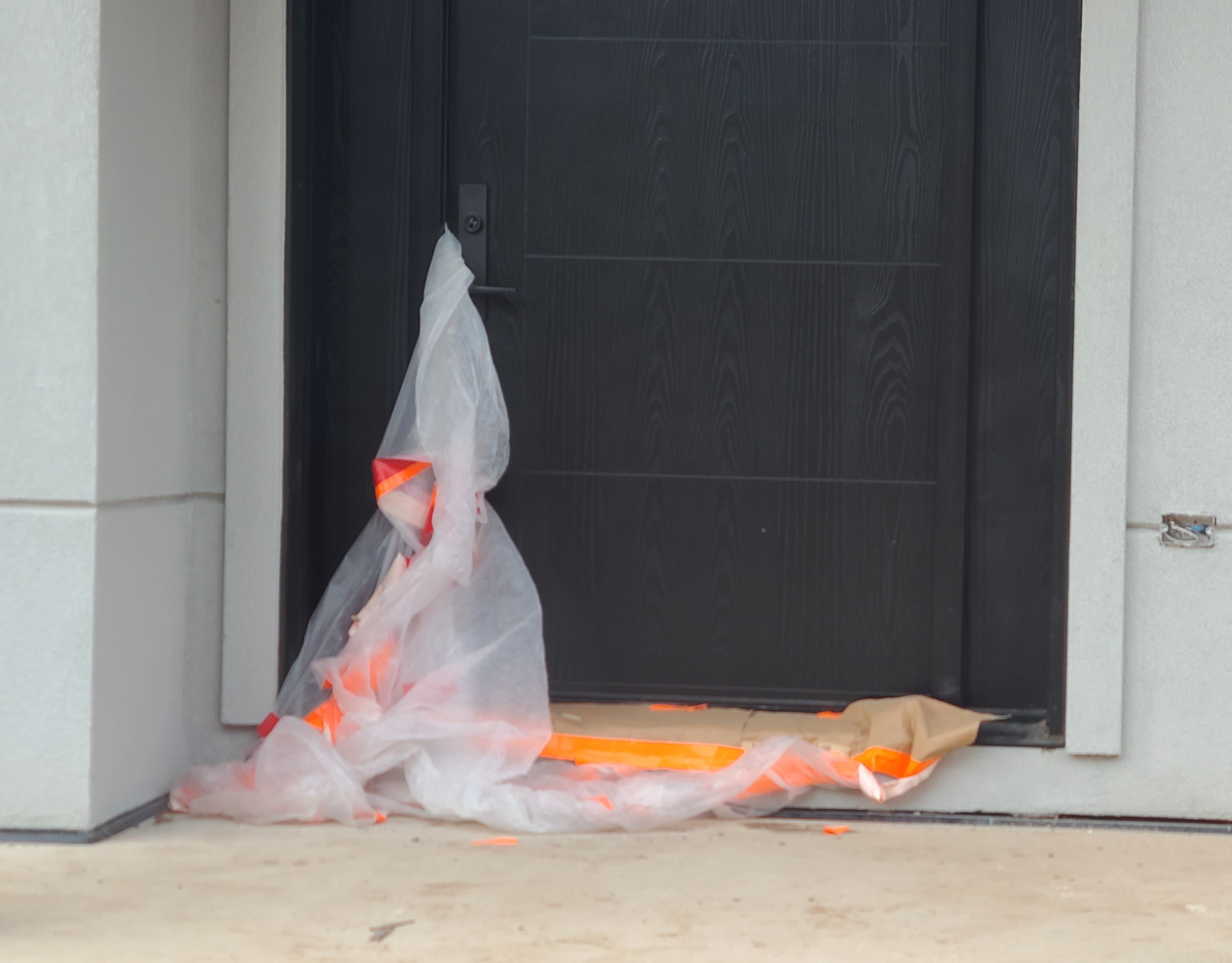 19_Francis_forgotte_image_04