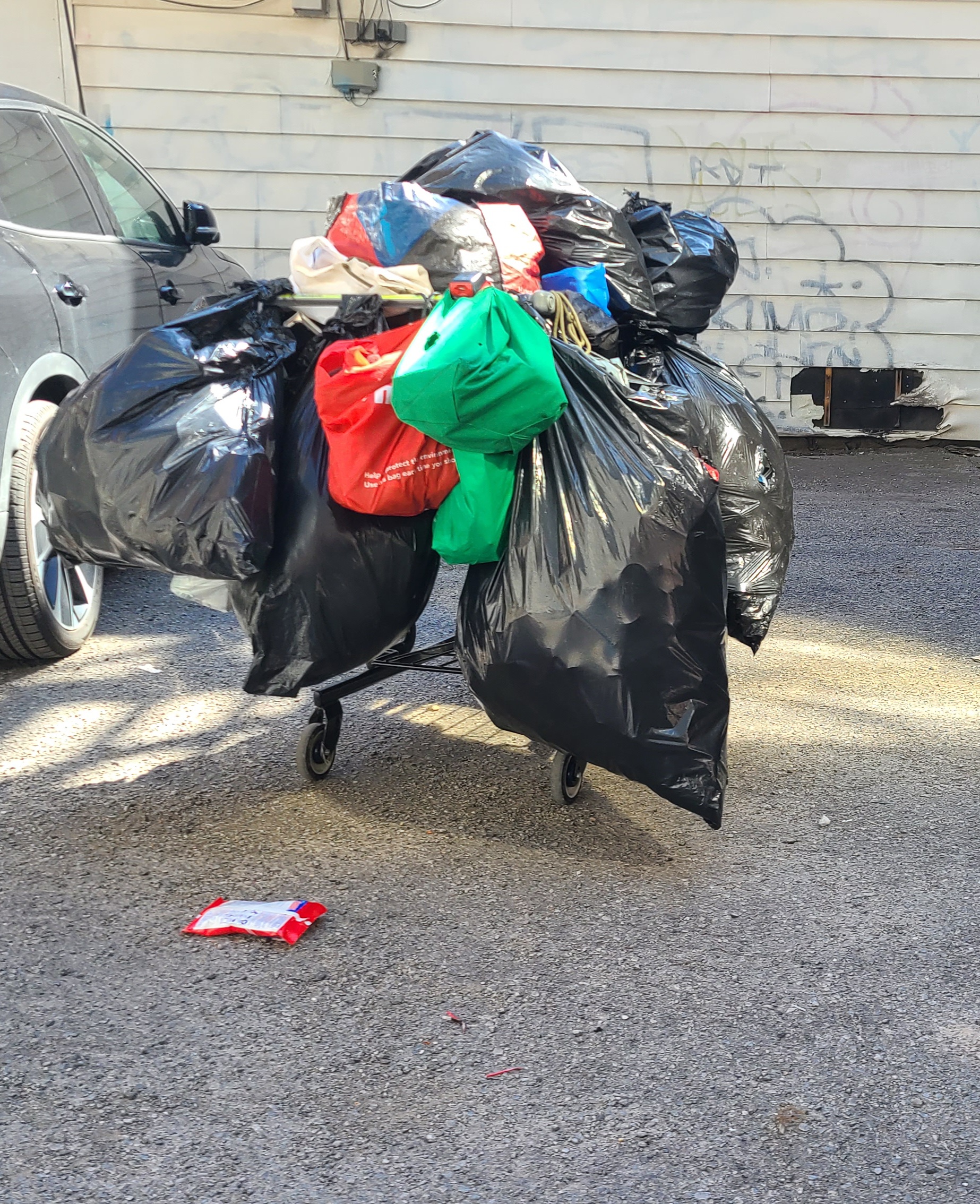 21_Francis_forgotte_image_08