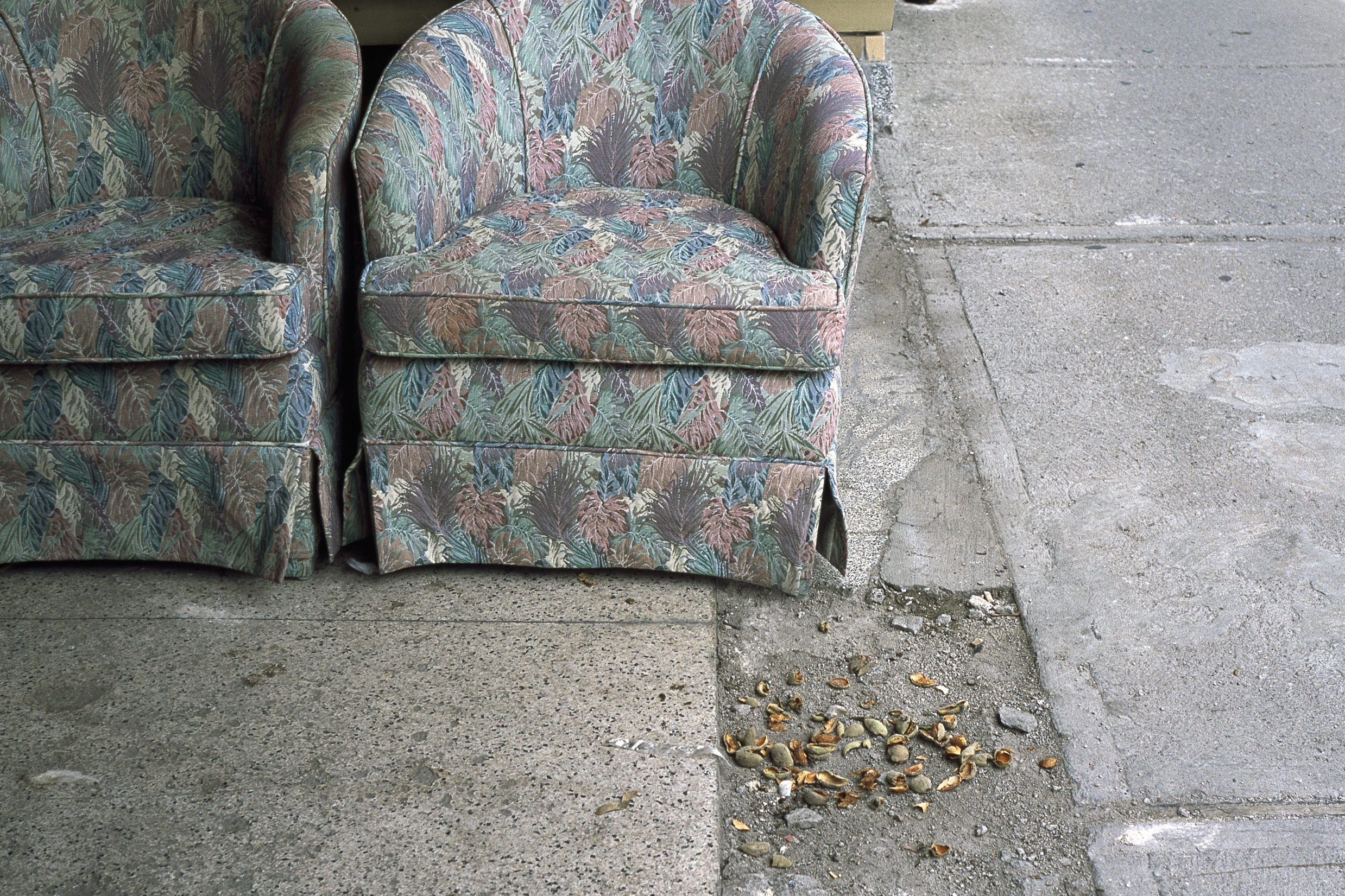 23_lise_Latreille_shells