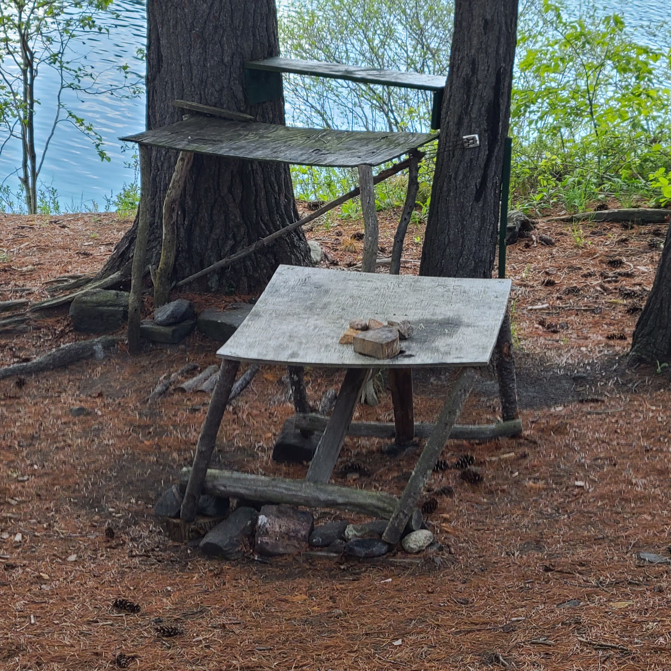 07_Francis_forgotte_image_10