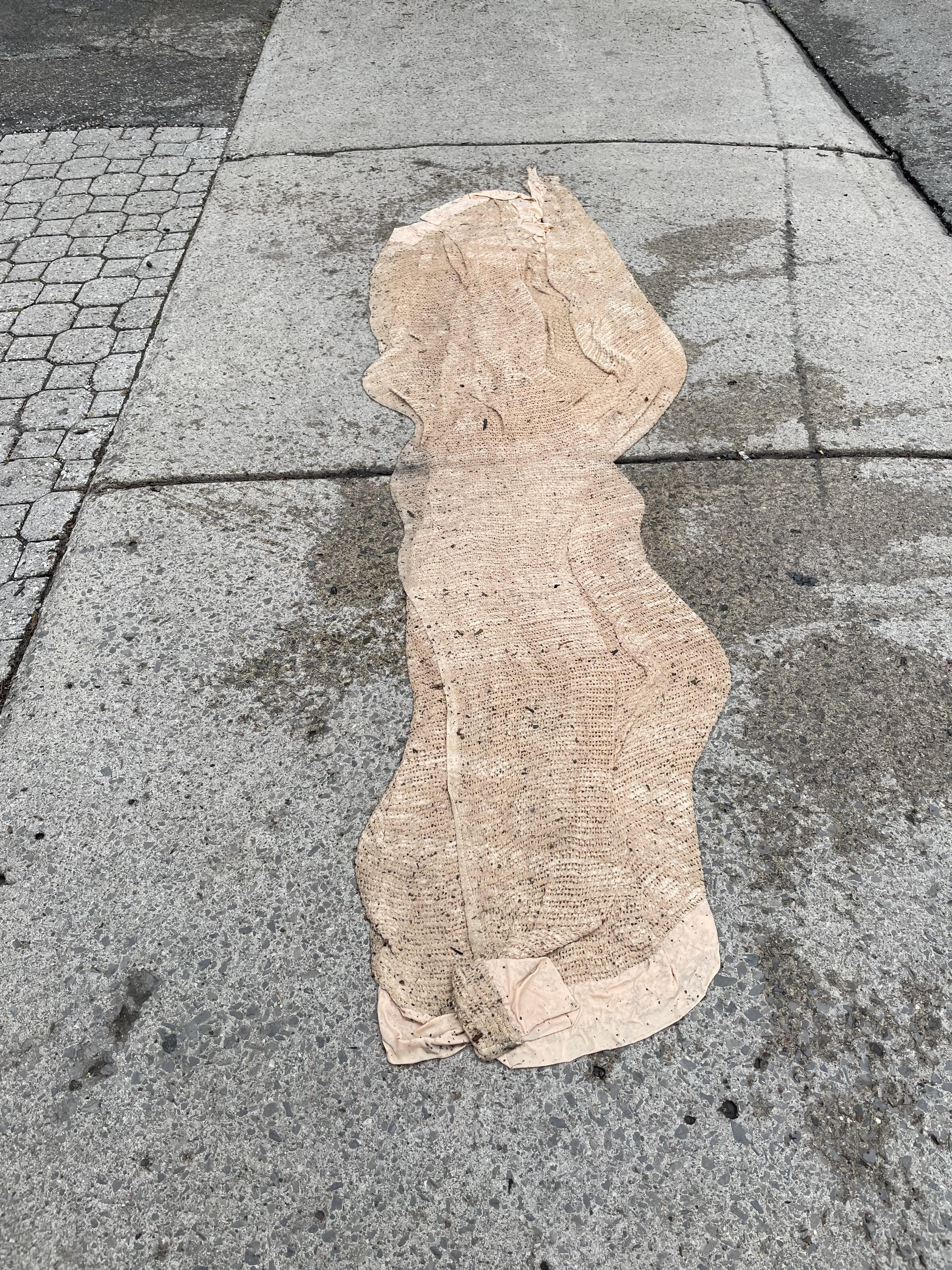 14_MCPHAILsidewalkblanket