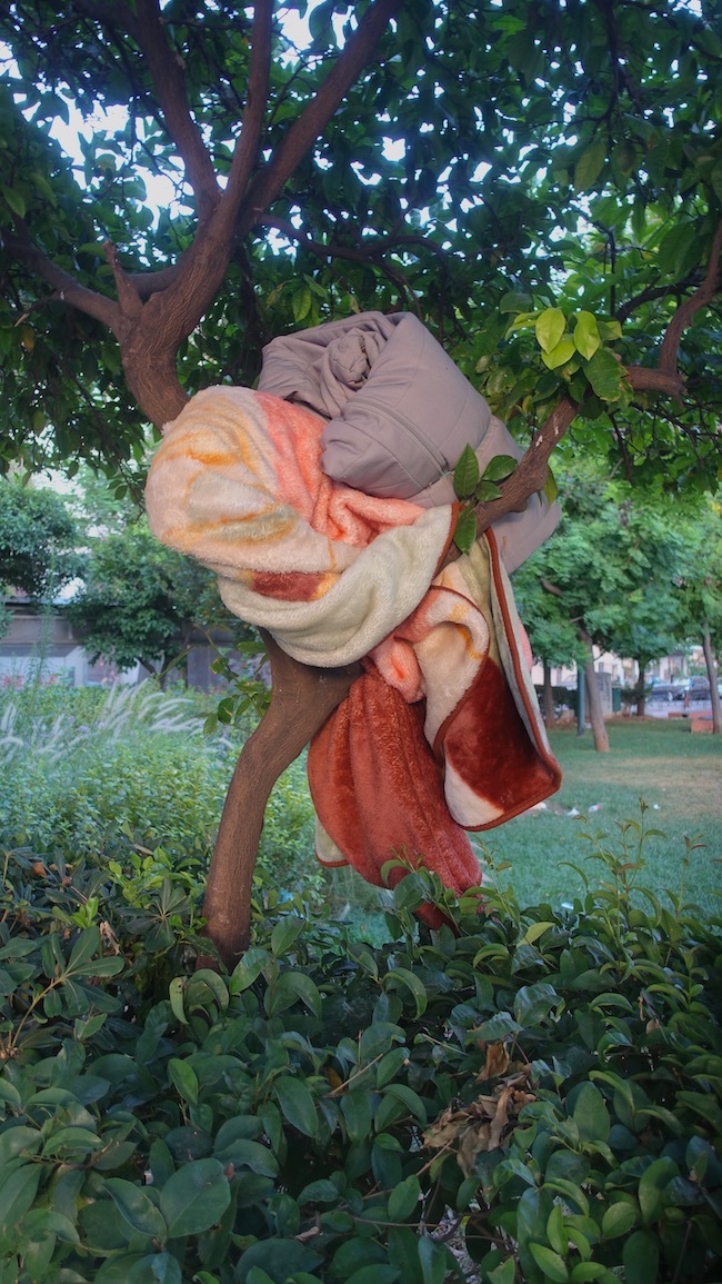 18_xxxclothes in tree