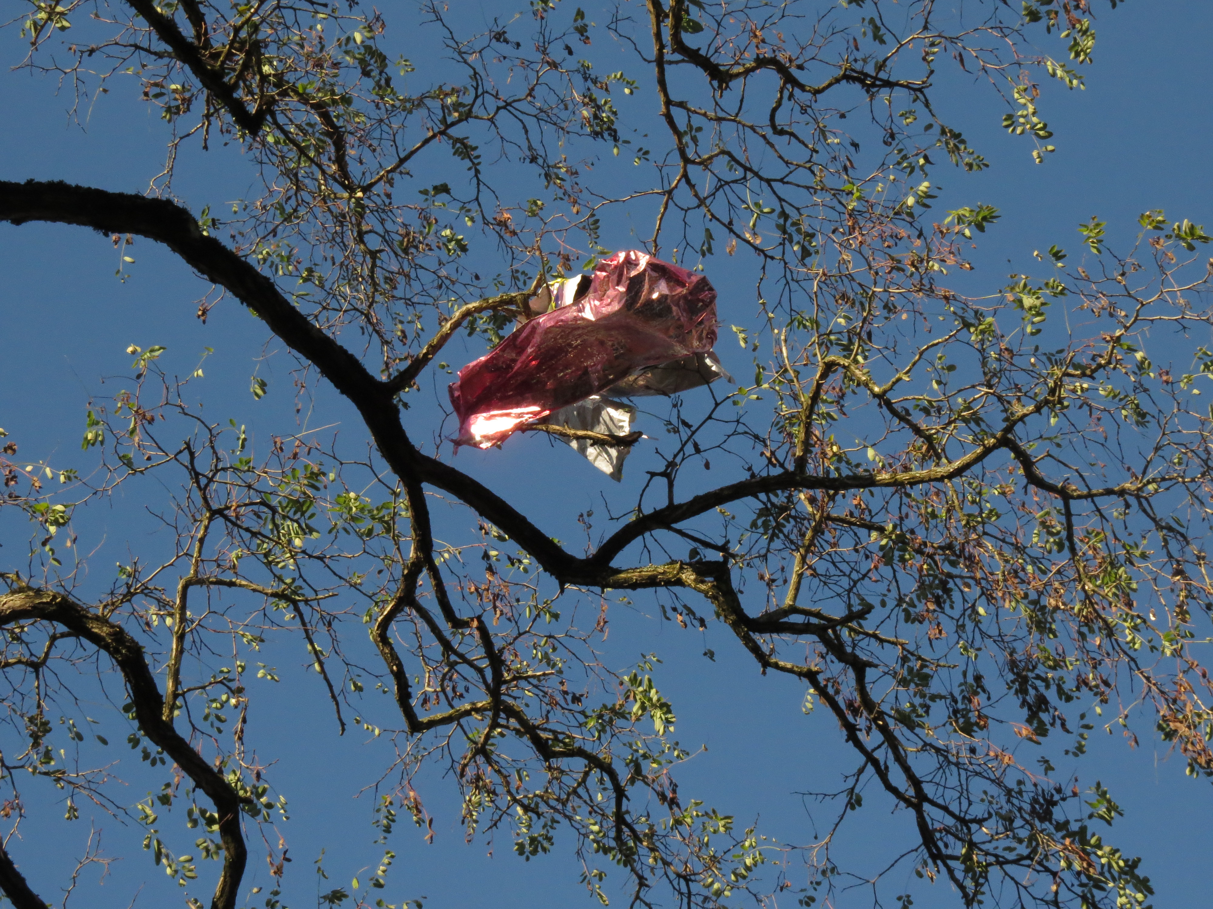 21_Laura Lee_coles_bag