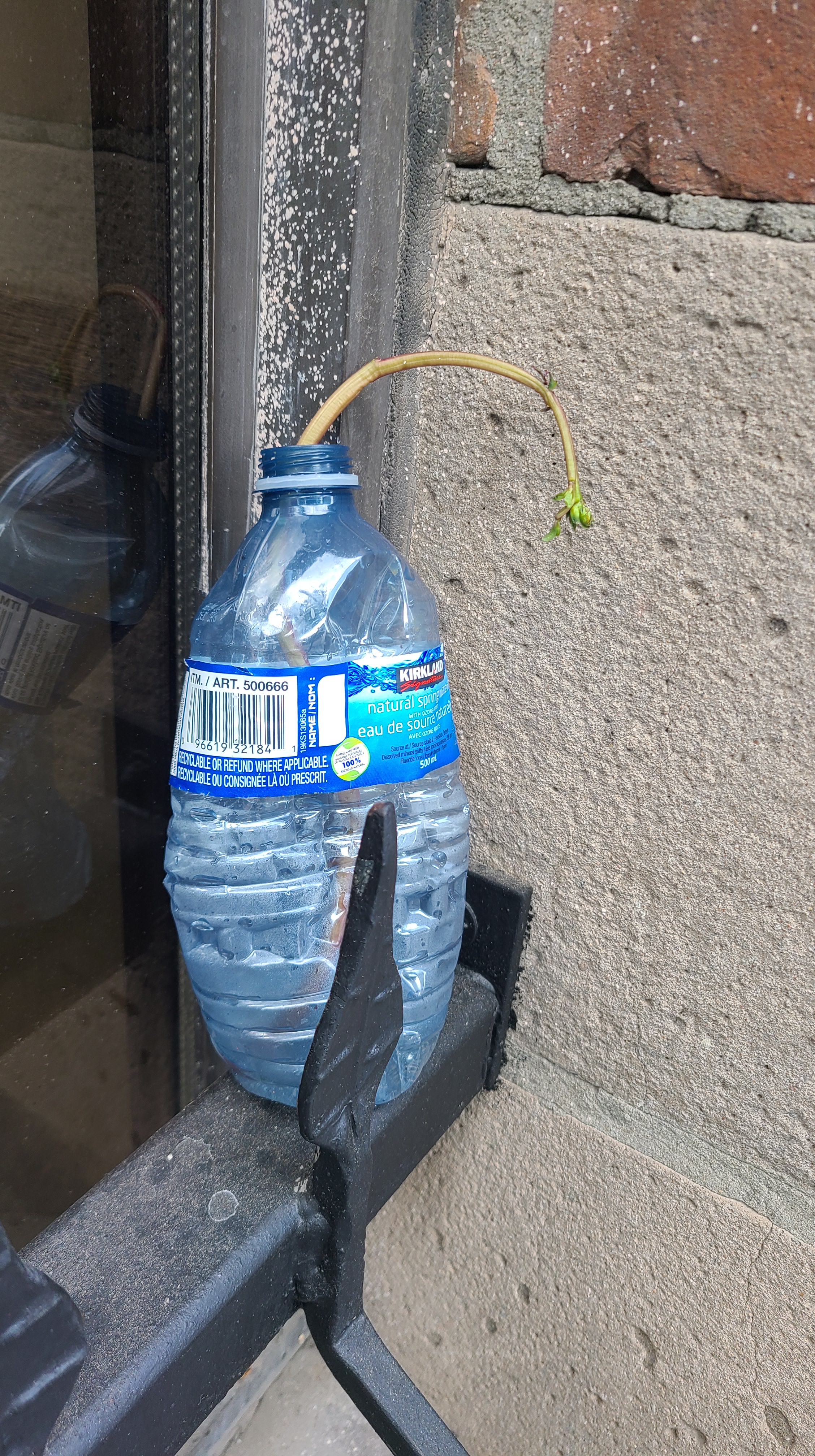 07_Francis_F_waterbottle