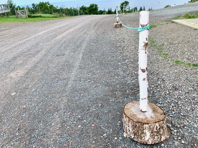 08_SAD_Barbara Lounder_parking