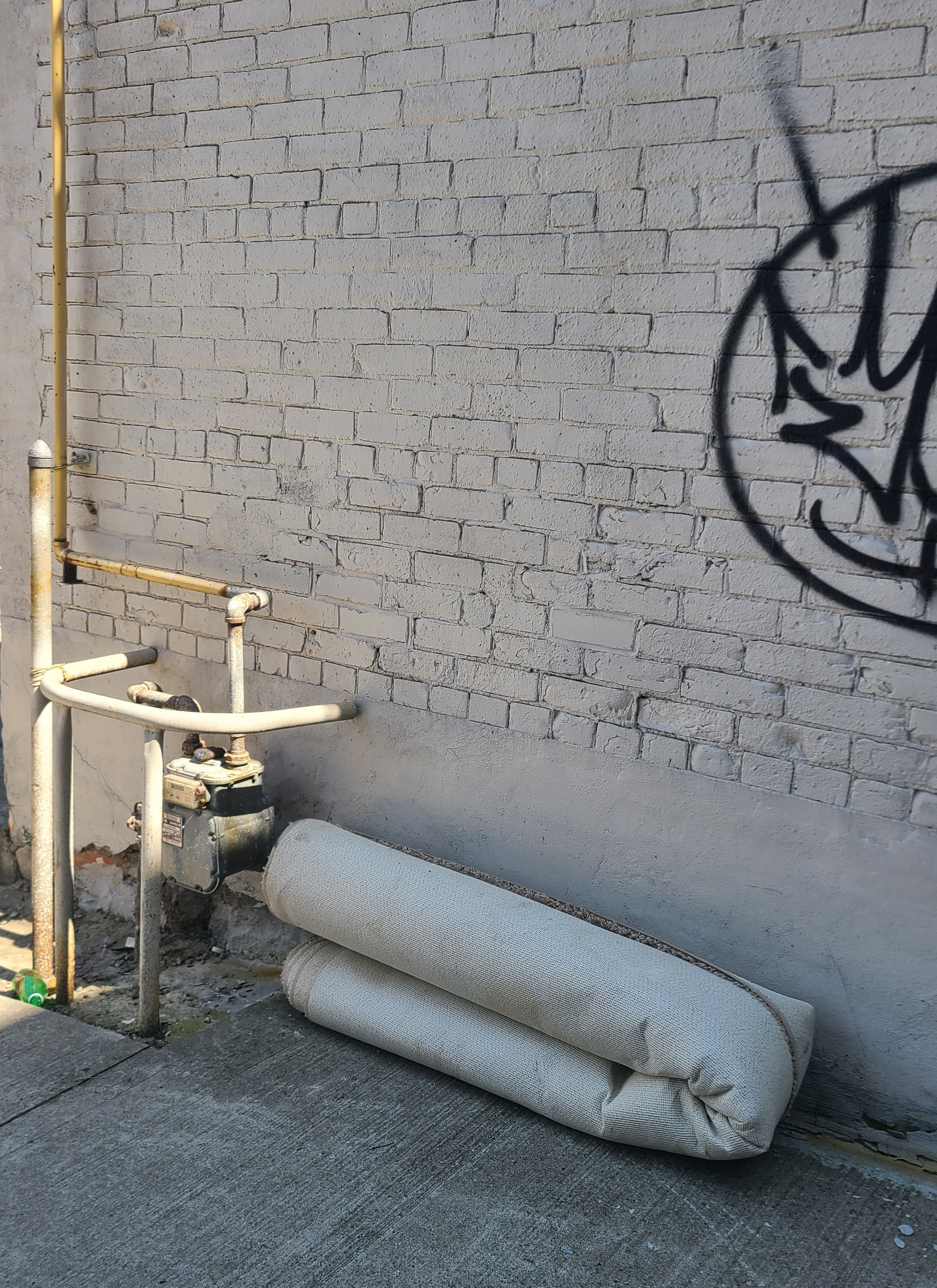 14_Francis_F_rugwrap