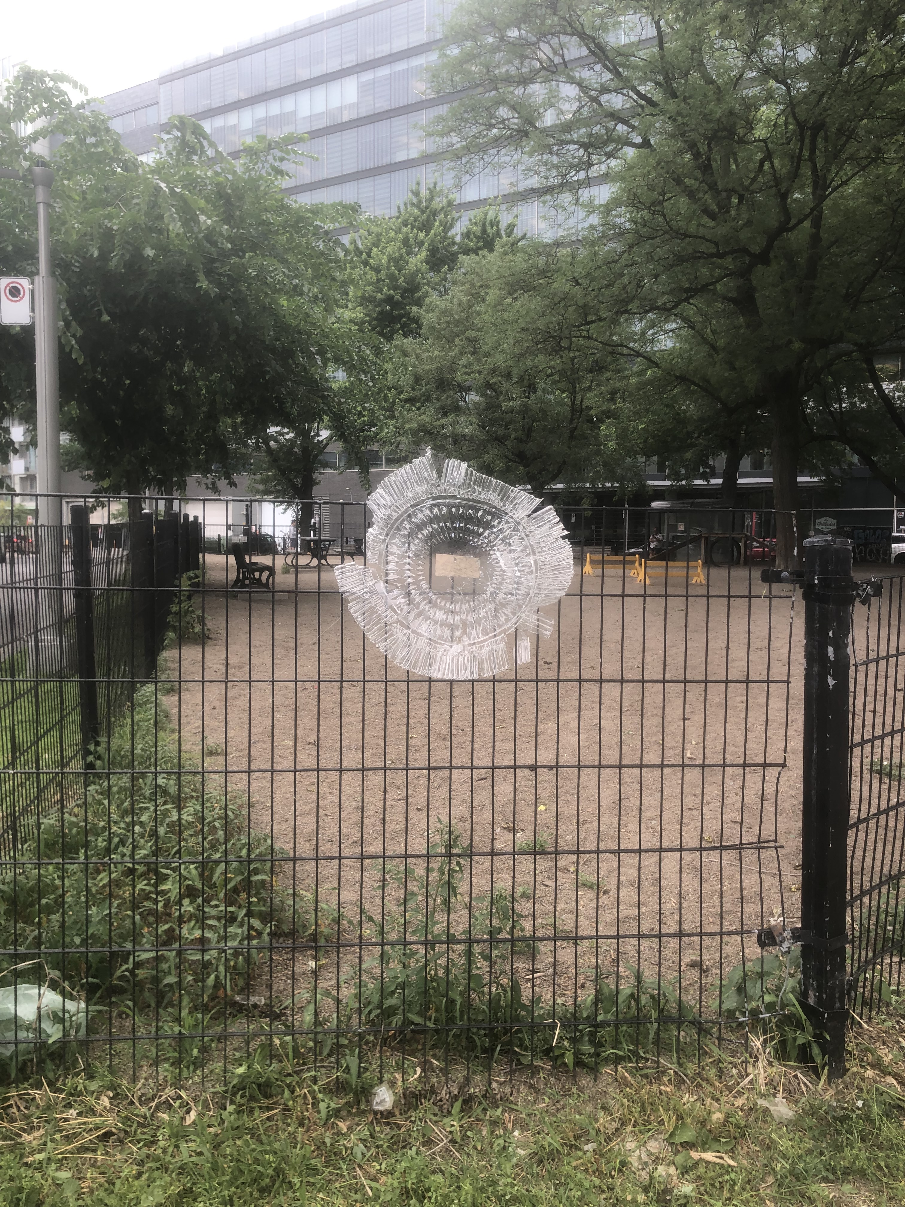 19_Pierre_dion_roundJPG