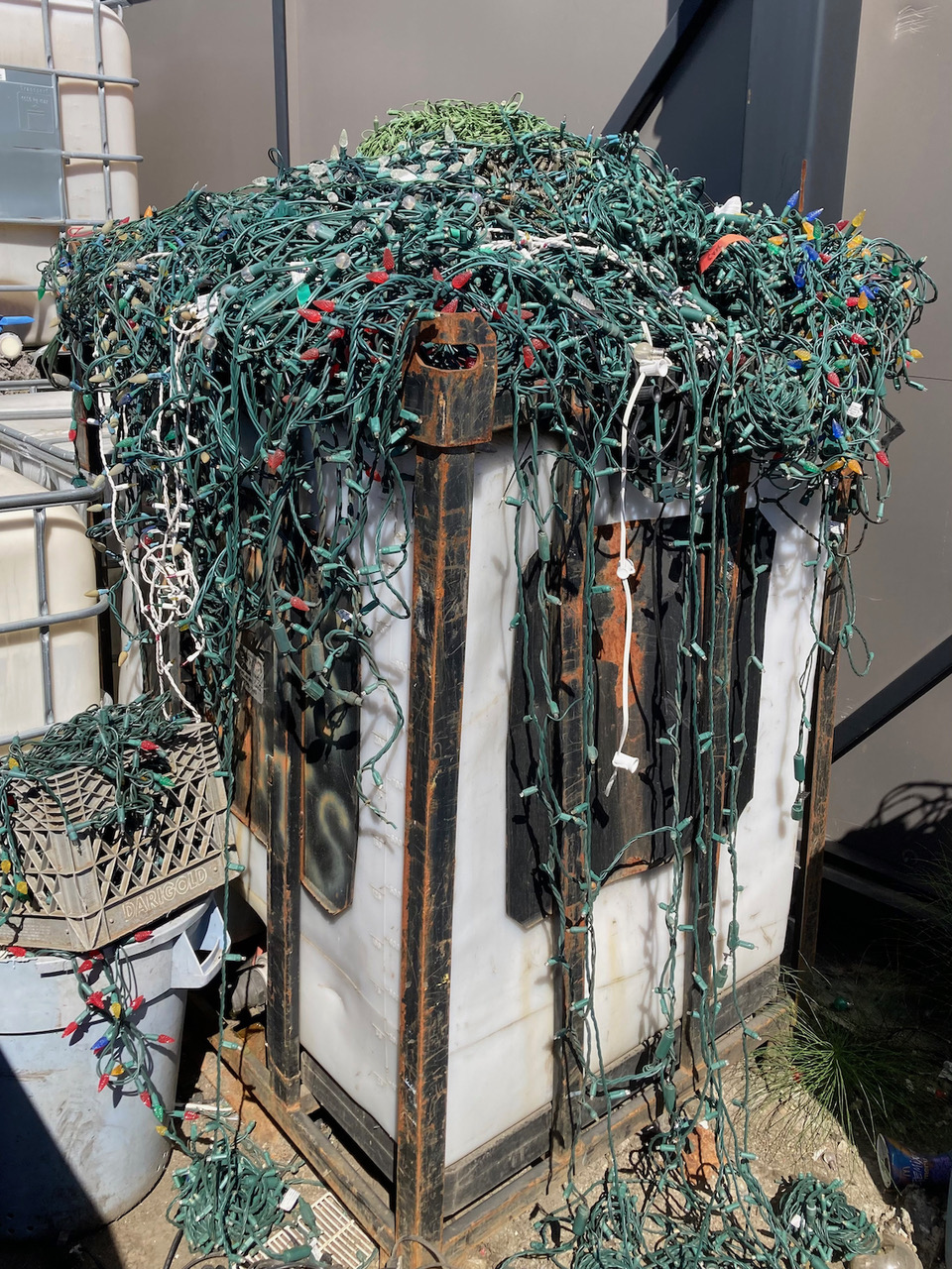 25_362 Merry Xmas-GS