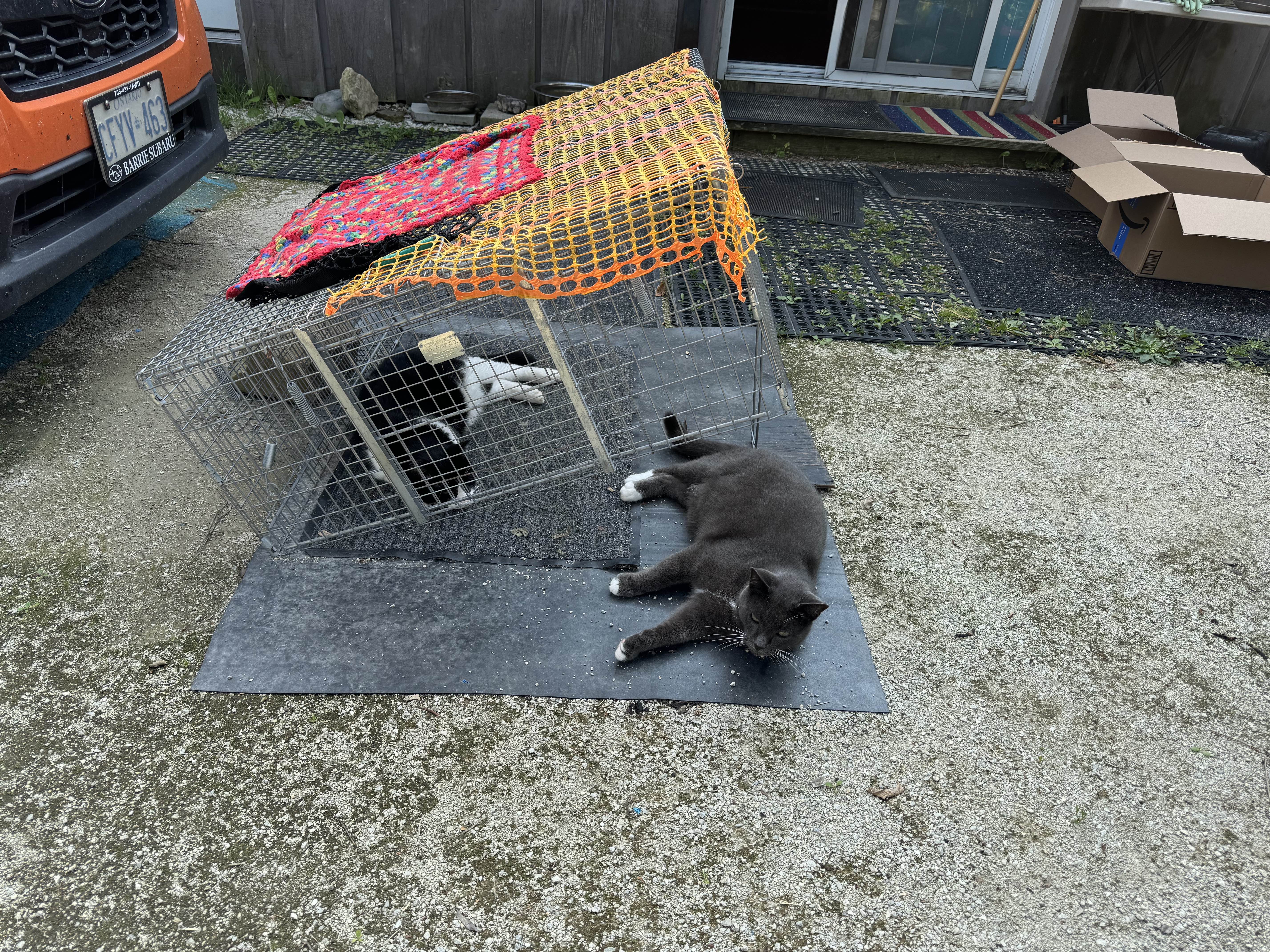 20_FW SAD #2, Nov_24