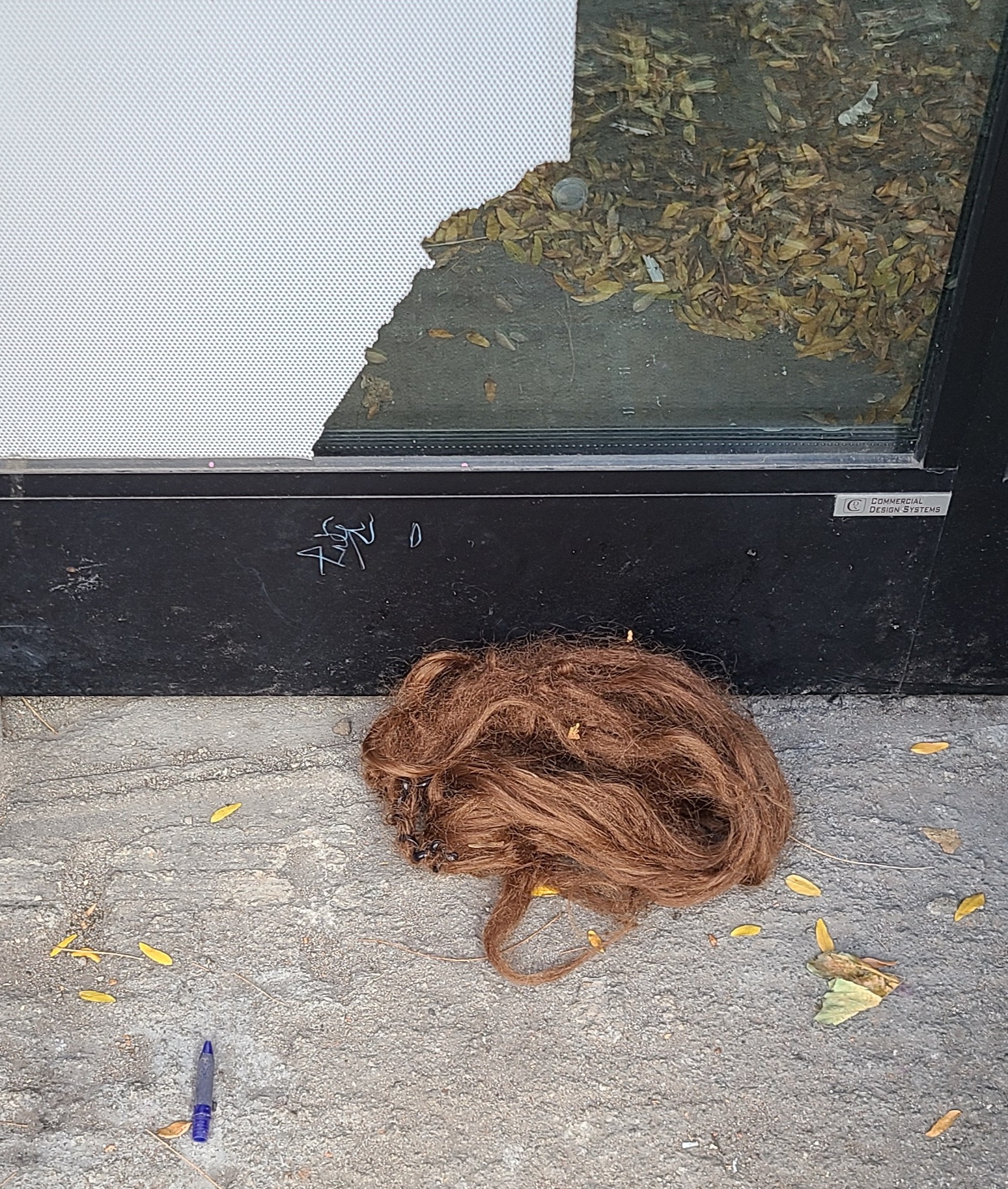 07_Francis_Forgette_wig