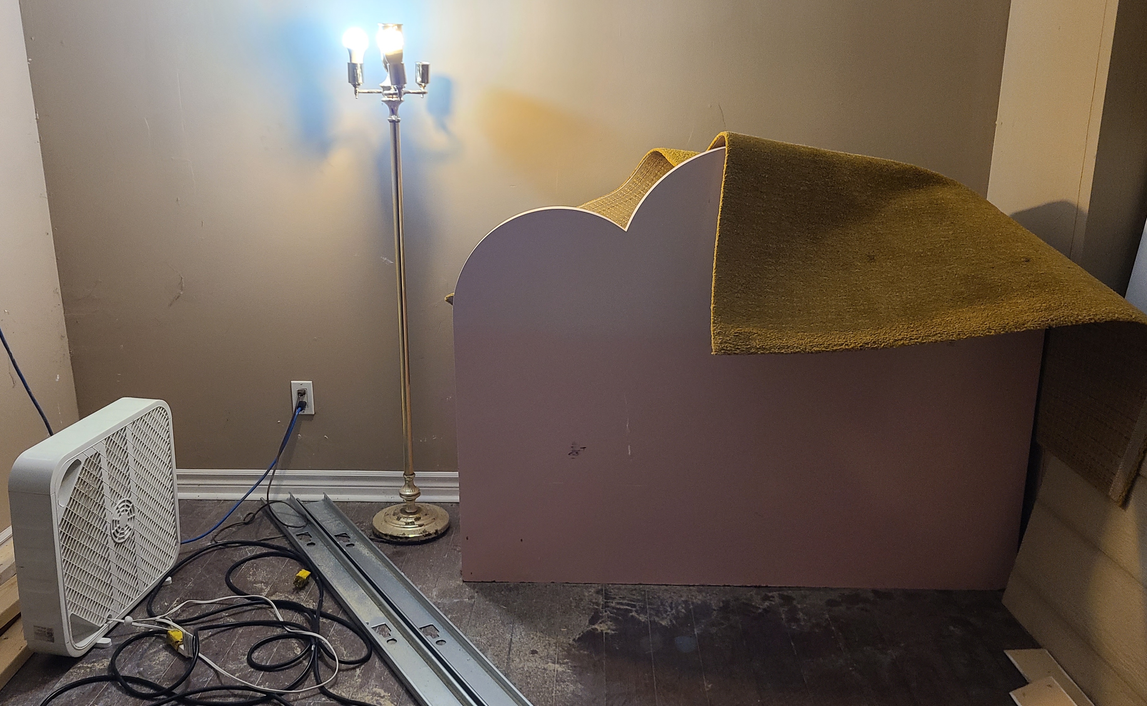 14_Francis_Forgette_rug